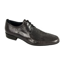 Aldo Brue 493